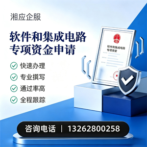 沧州软件和集成电路专项资金申报服务