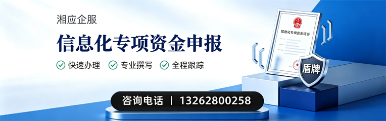 沧州信息化专项资金申报服务