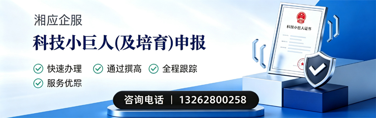 沧州科技小巨人及培育企业申报服务