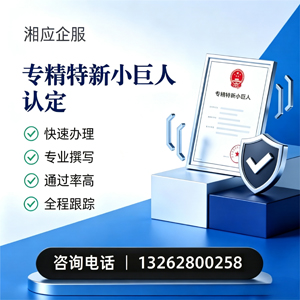 沧州专精特新小巨人申报服务