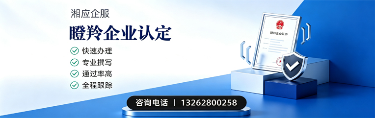 沧州瞪羚企业认定申报服务