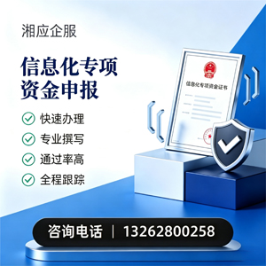 沧州信息化专项资金申报服务