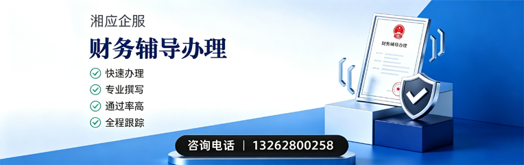 沧州财务辅导申请服务