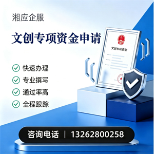 沧州文创专项资金申报服务