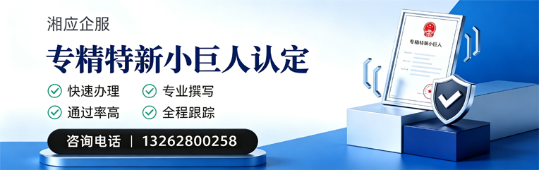 沧州专精特新小巨人申报服务